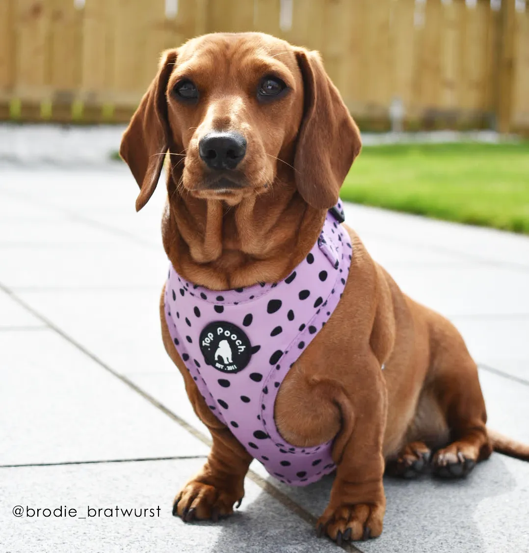 Animal Dog Harness - Lilac (Size L)
