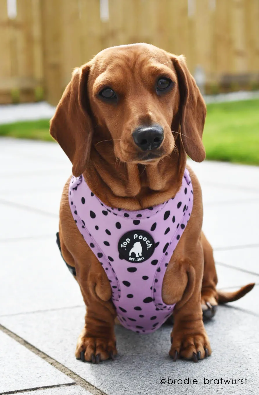 Animal Dog Harness - Lilac (Size L)