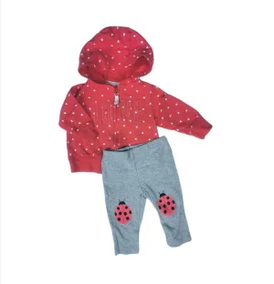 BABY GIRL SIZE 3 MONTHS - CARTER'S, 2 Piece Matching Fall Outfit LIKE NEW B21