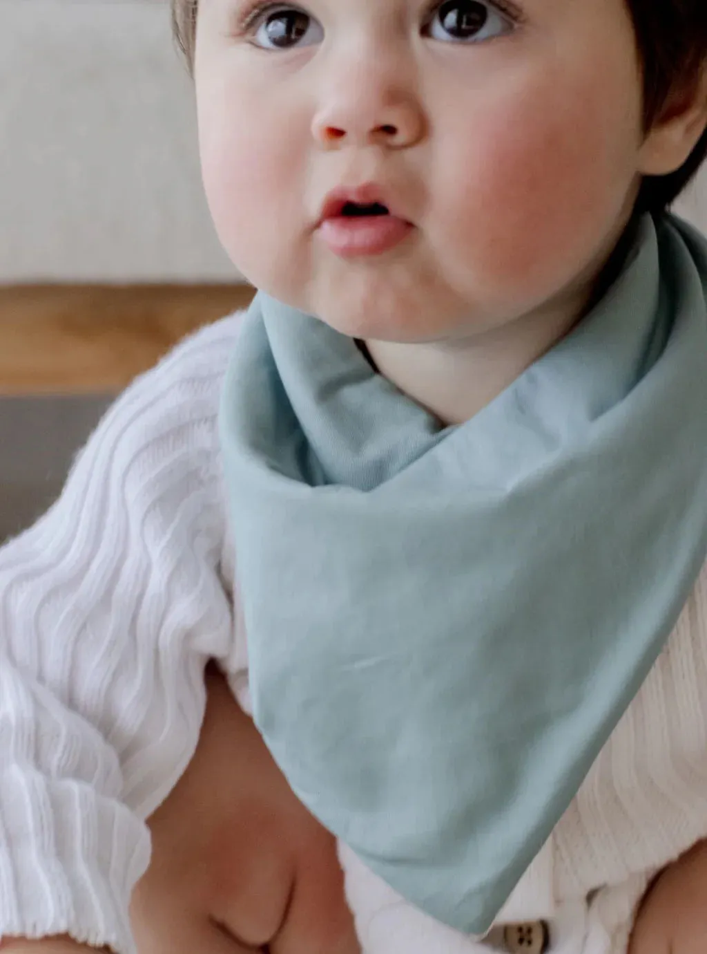Bambella Bandana Bibs 2 Pack | Botanical & Lagoon