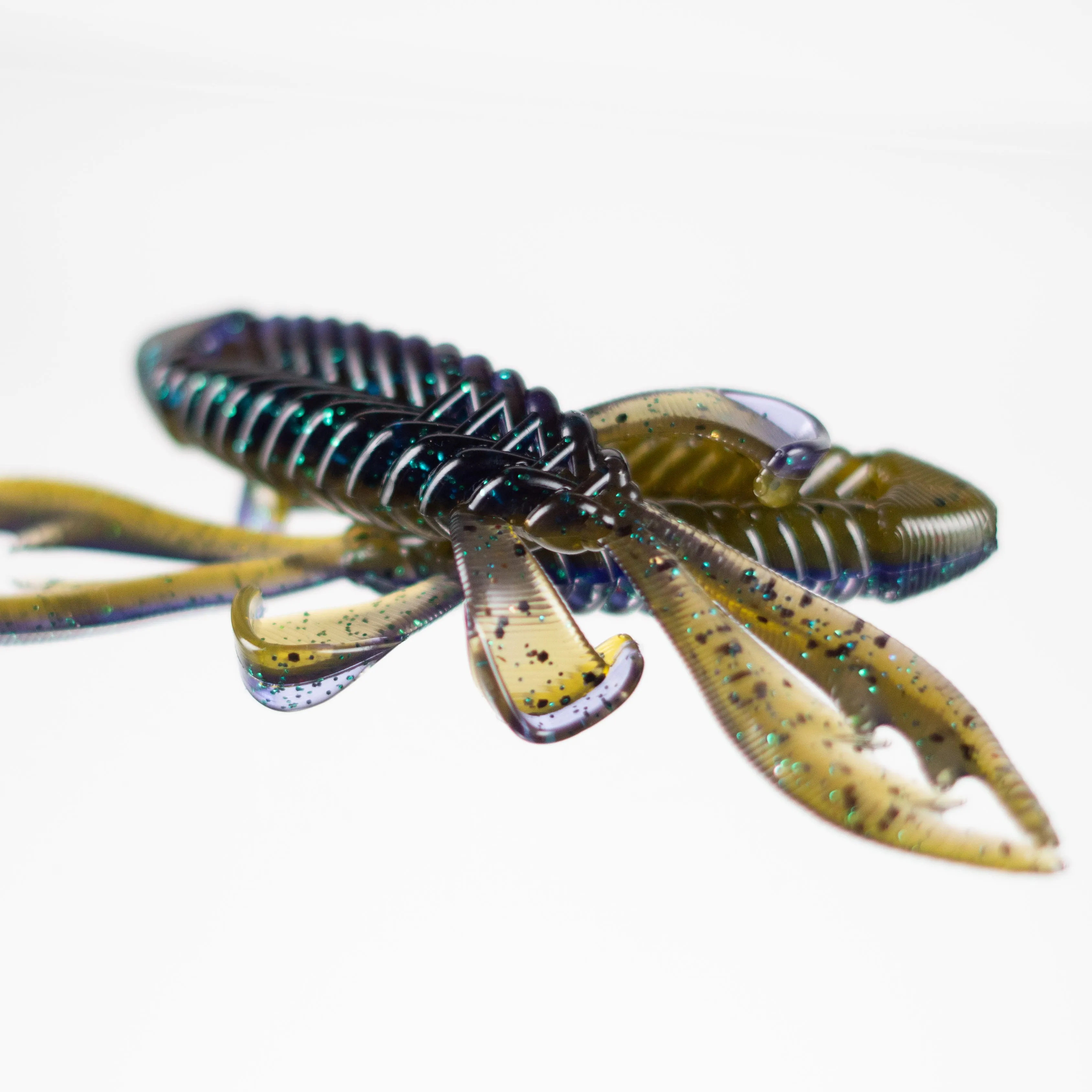 Bayou Bug