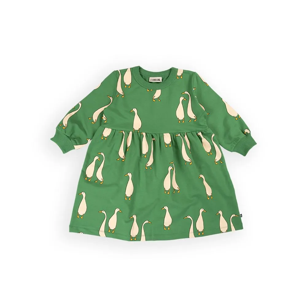 Ducks Long Sleeve Skater Dress