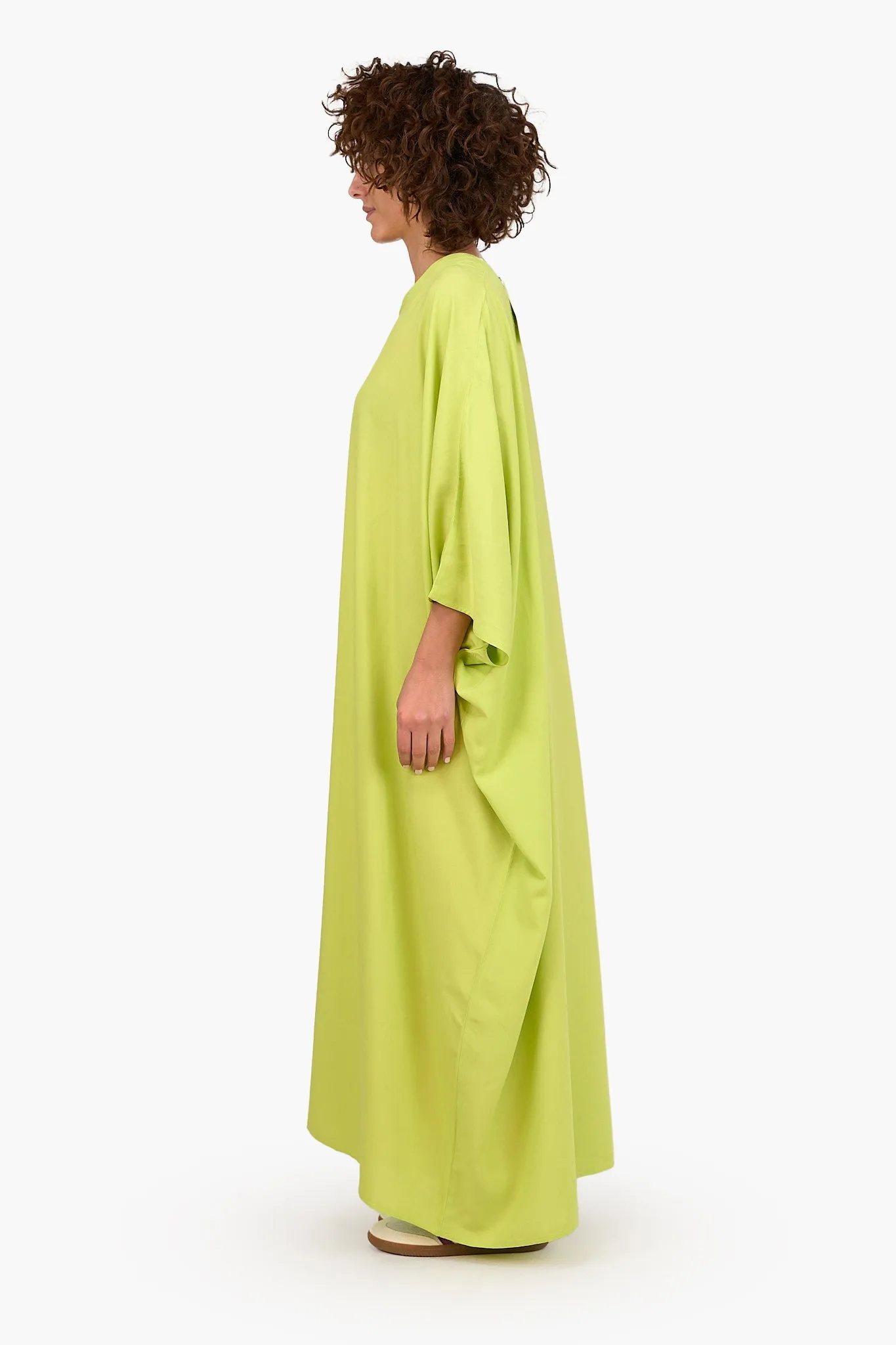 Elegant Maxi Dress