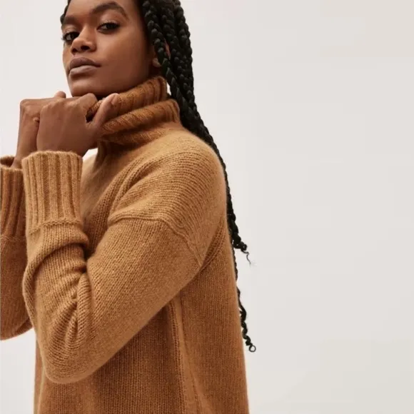 Everlane Cloud Turtleneck Sweater Wool Alpaca Knit Classic Minimalist Tan L