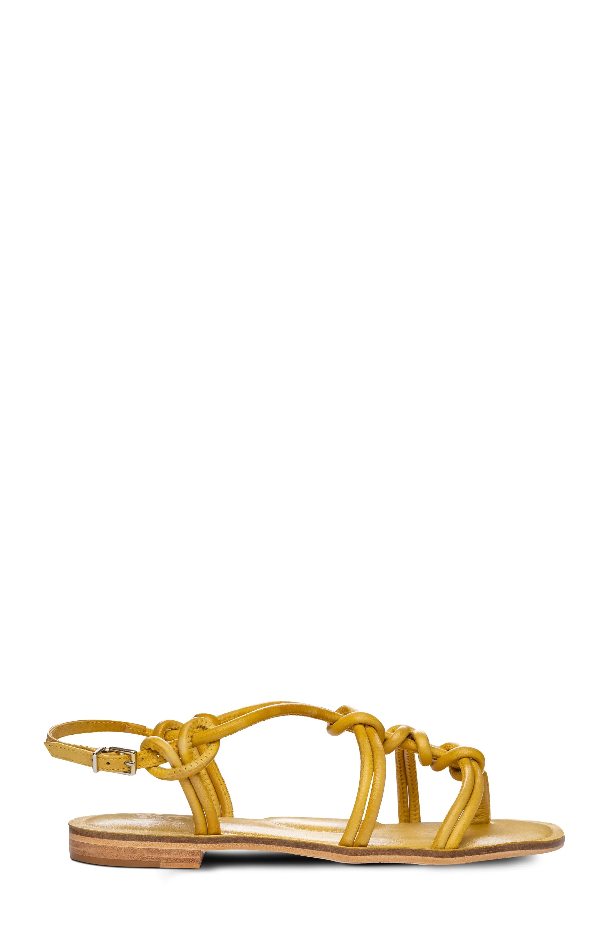 Forget Me Knot