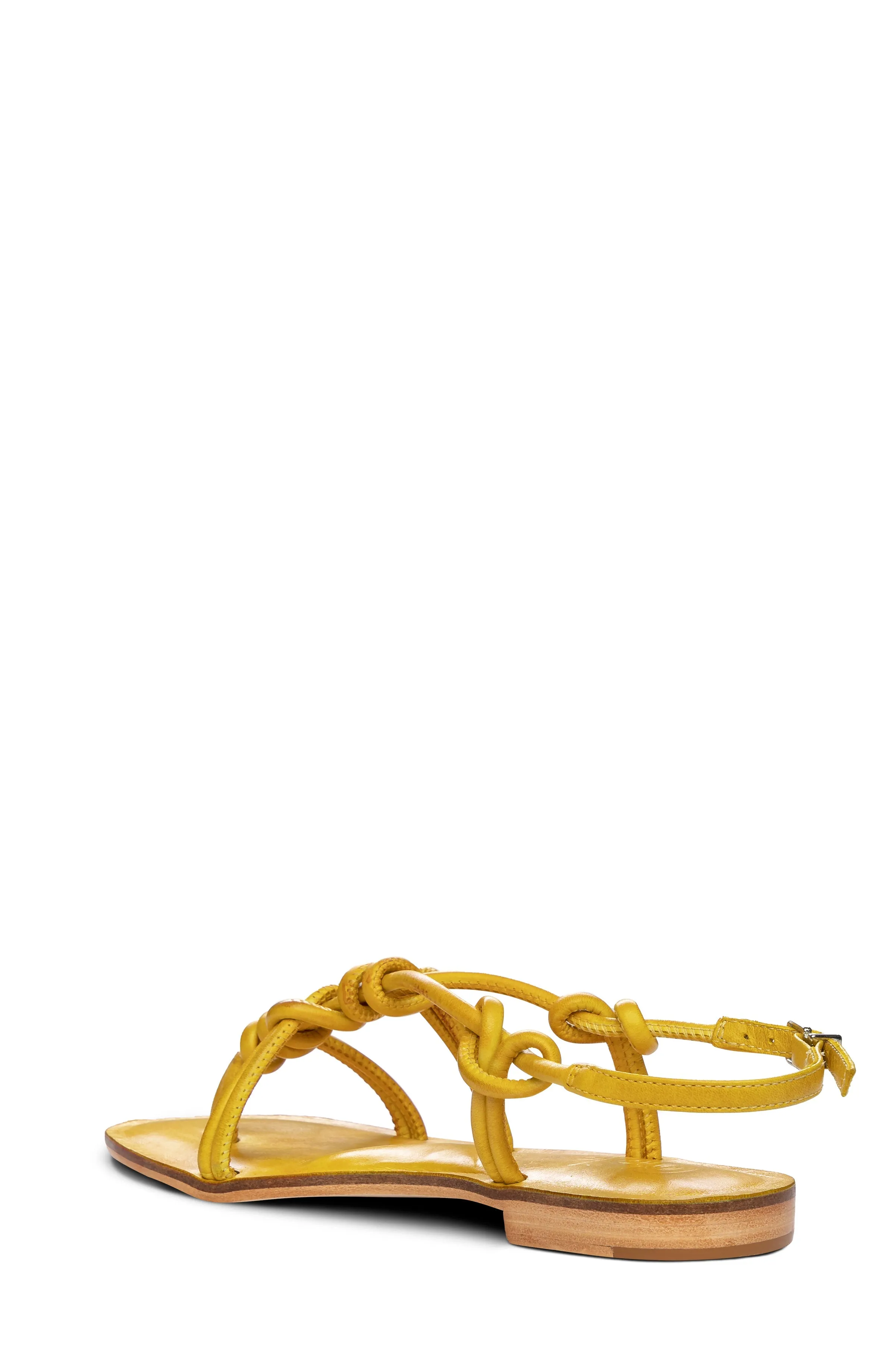 Forget Me Knot