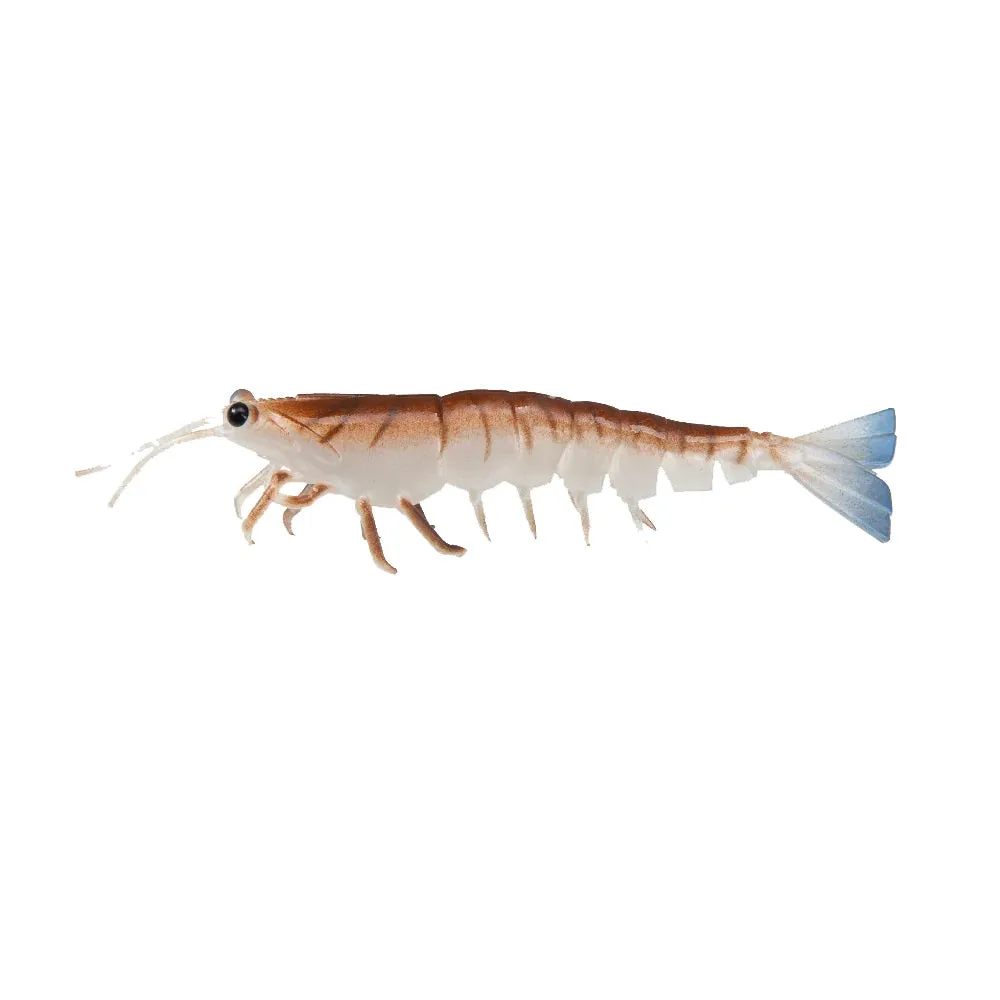 Irukandji Megaprawn 80