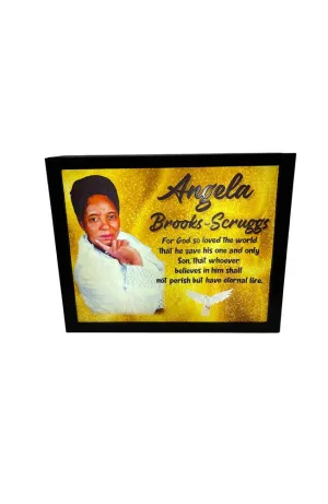 Photo Light Box 10"x 8"