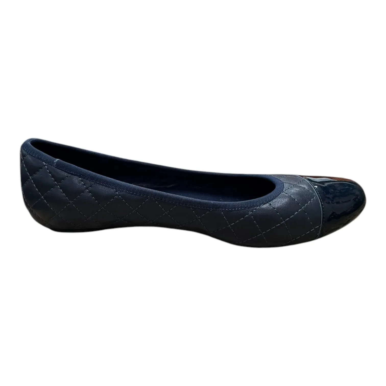 Shoes Flats By Vaneli In Navy, Size:10