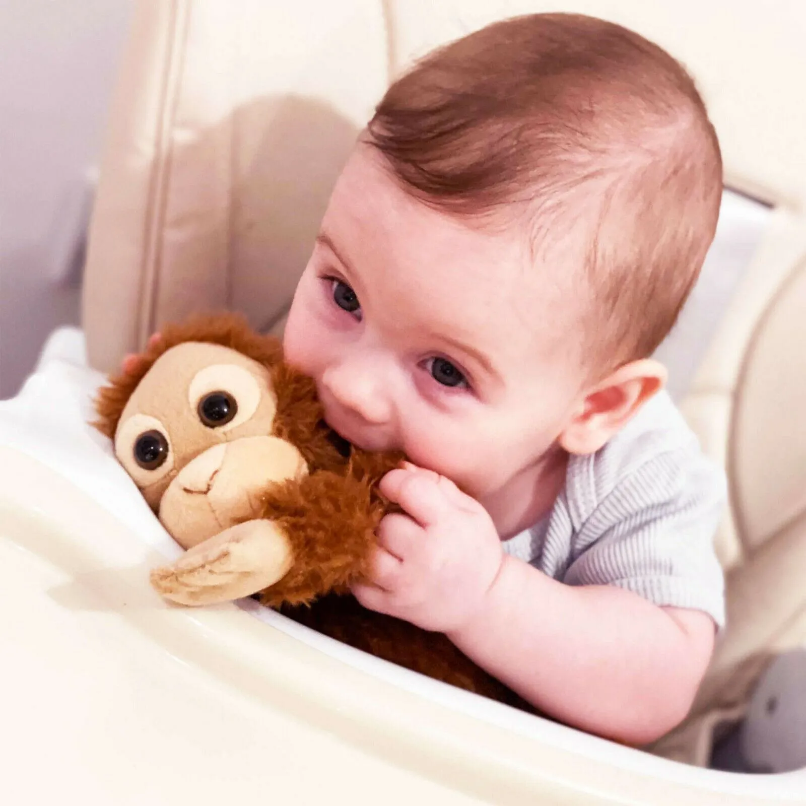 Small Brown Orangutan Monkey Cuddly Soft Toy