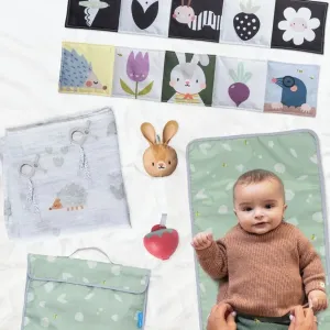 Taf Toys Urban Garden Outdoor Kit