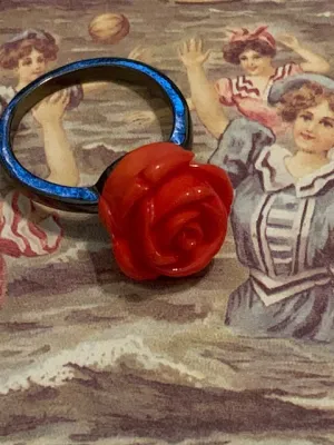 The Most Radiant Rose in the Garden